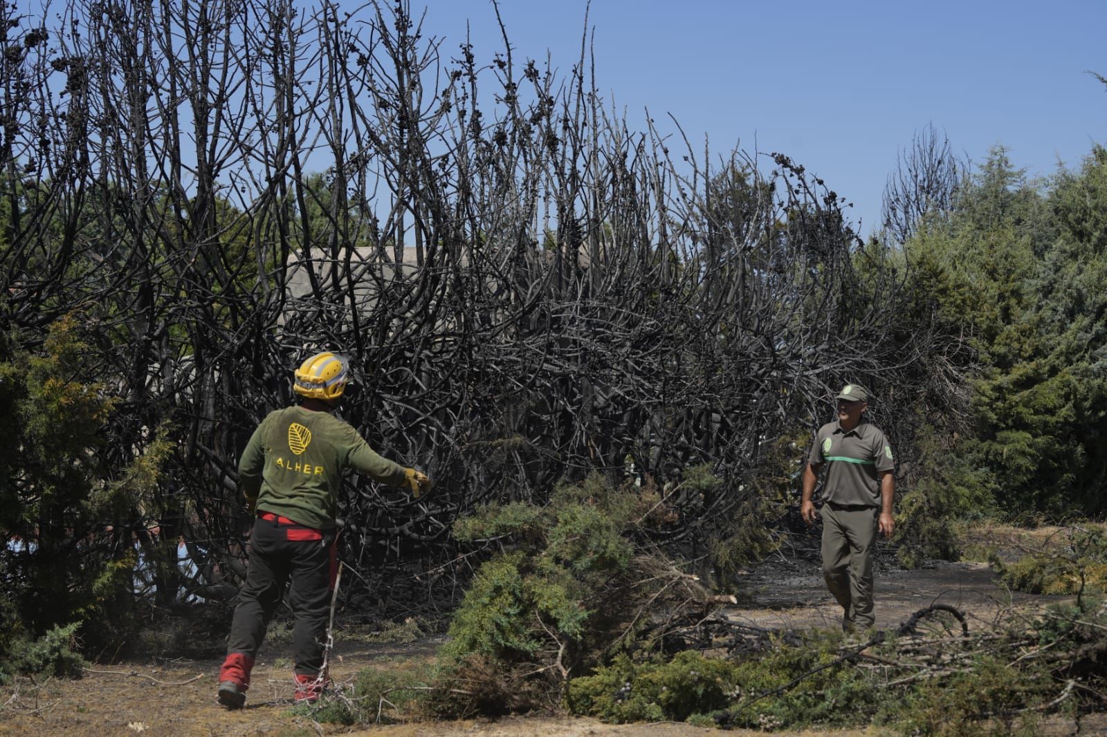 GALERÍA | Las imágenes del incendio entre Morales del Vino y Entrala