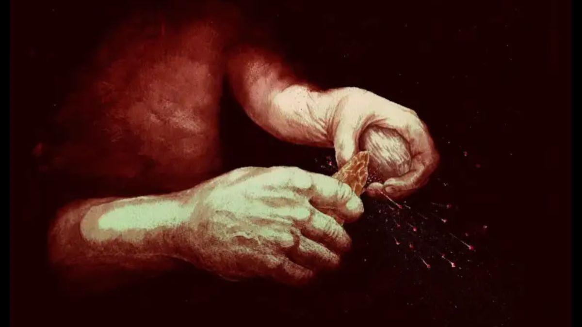 un nuevo hallazgo revoluciona la prehistoria