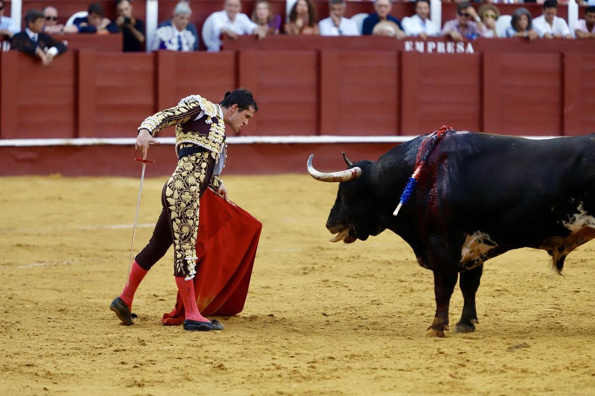 Un momento de la actuación de Daniel Luque en La Malagueta