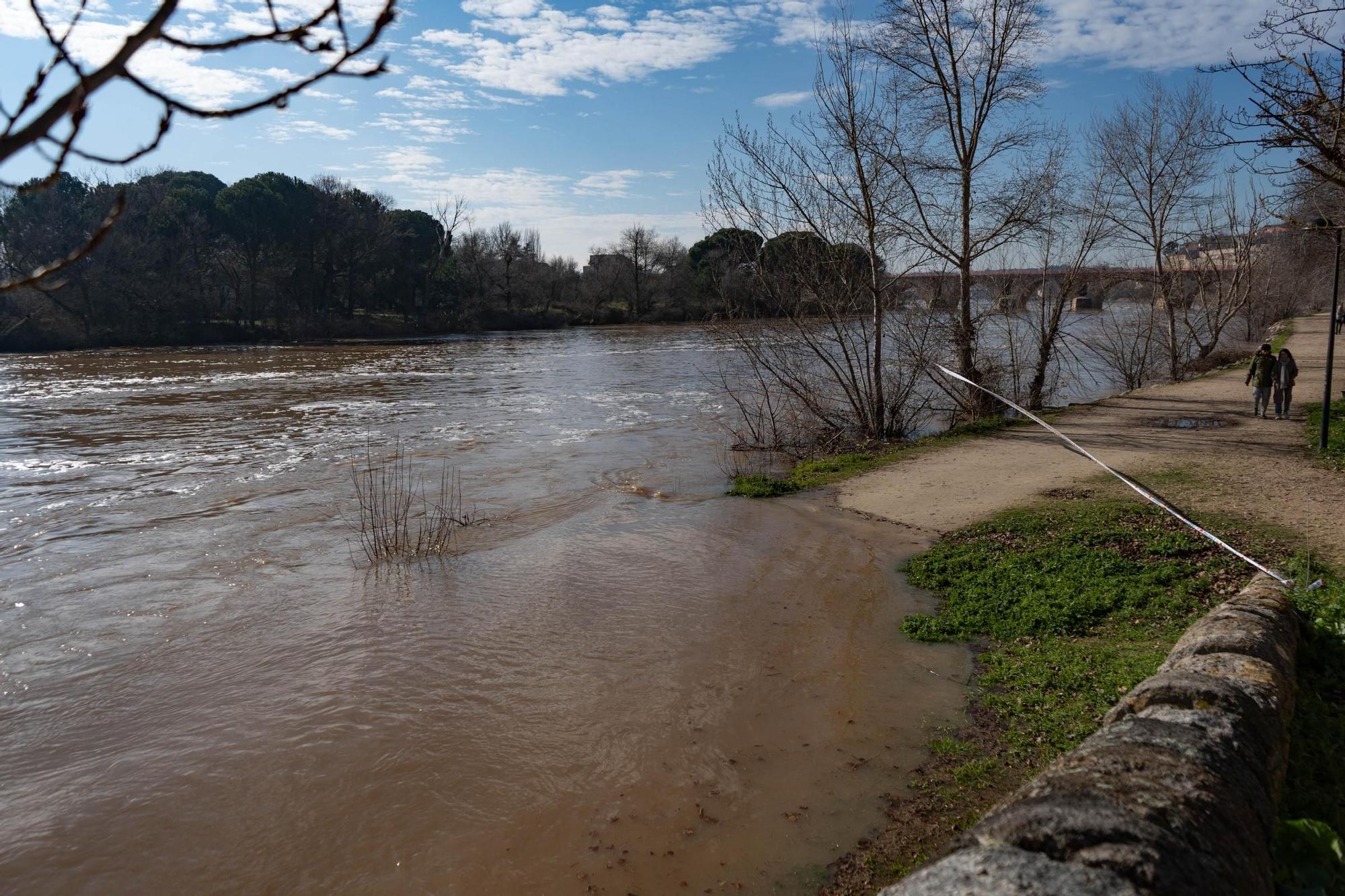 Crecida del río Duero a su paso por Zamora capital