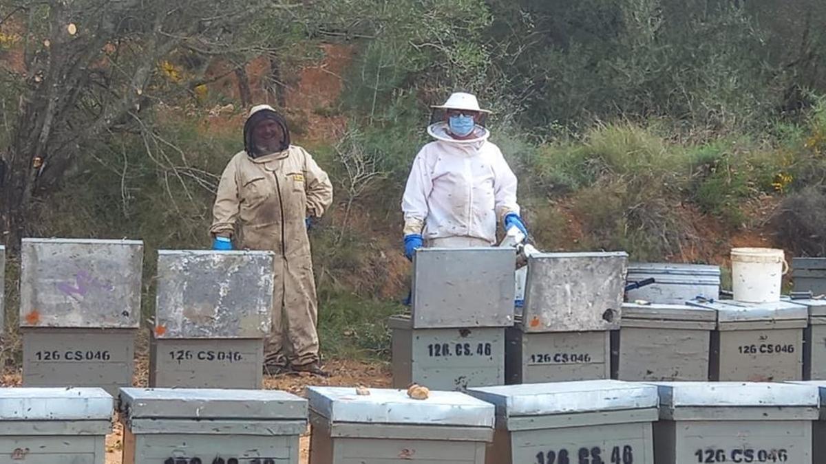 Castellón cuenta con un colectivo de unos 400 apicultores, aunque la Unió pronostica que la mitad causarán baja.
