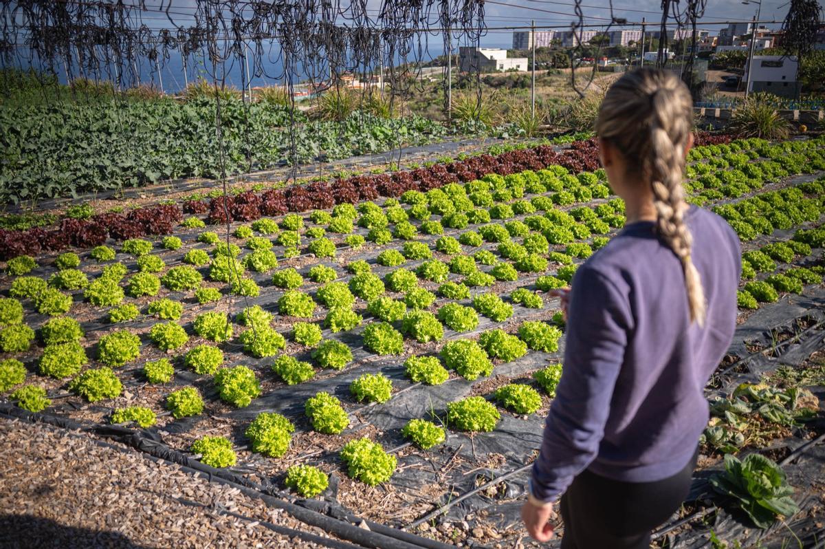 Agricultora mira su huerto