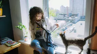 Día del gato: Mitos sobre las alergias