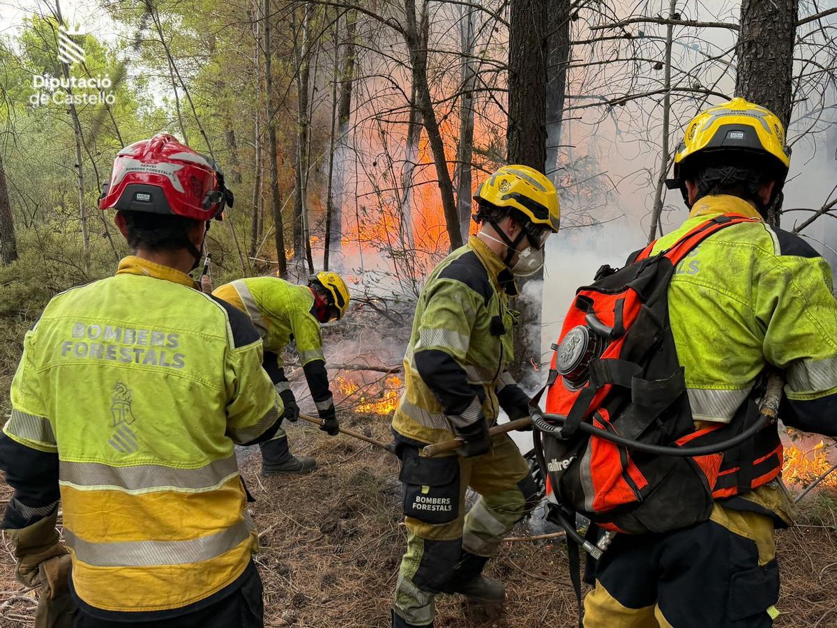 Actuación de los bomberos del Consorcio Provincial de Castellón en el incendio forestal de Alcúdia de Veo