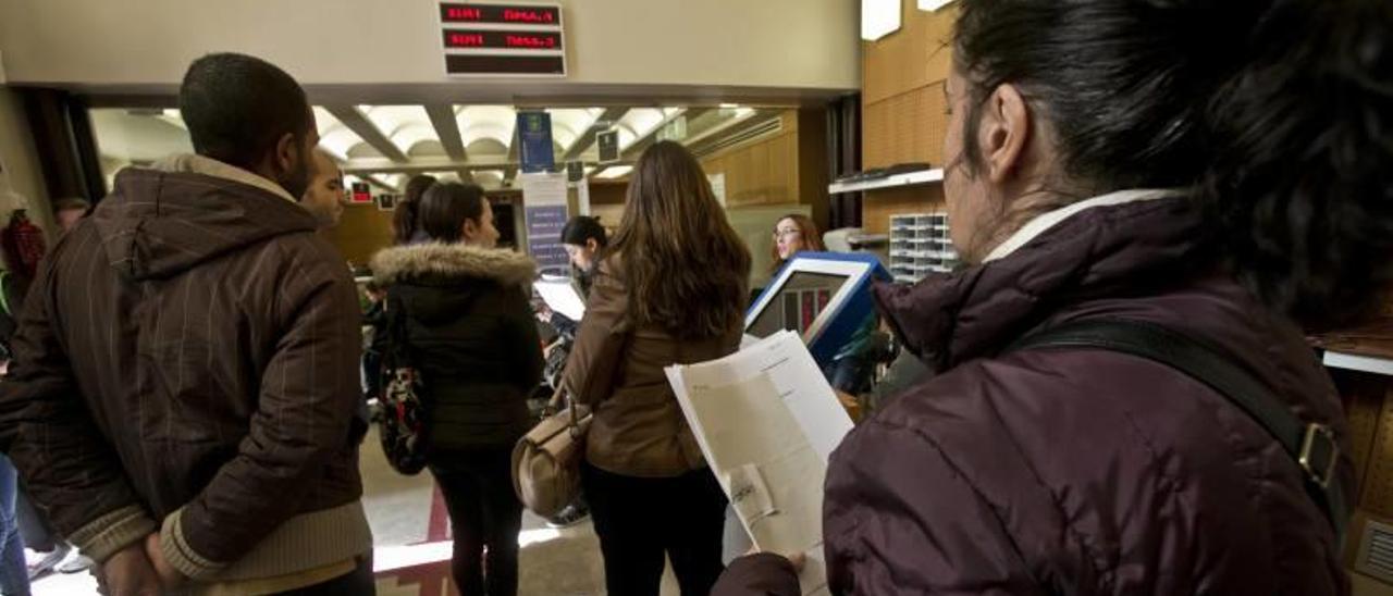 Ampas de Elche reclaman que las ayudas de libros lleguen a todos