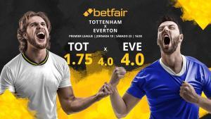 Tottenham Hotspur FC vs. Everton FC: horario, TV, estadísticas, clasificación y pronósticos