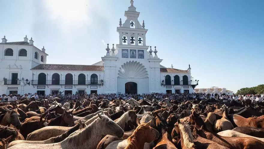 VÍDEO | Asi fue la Saca de las Yeguas en Doñana y El Rocío 2025