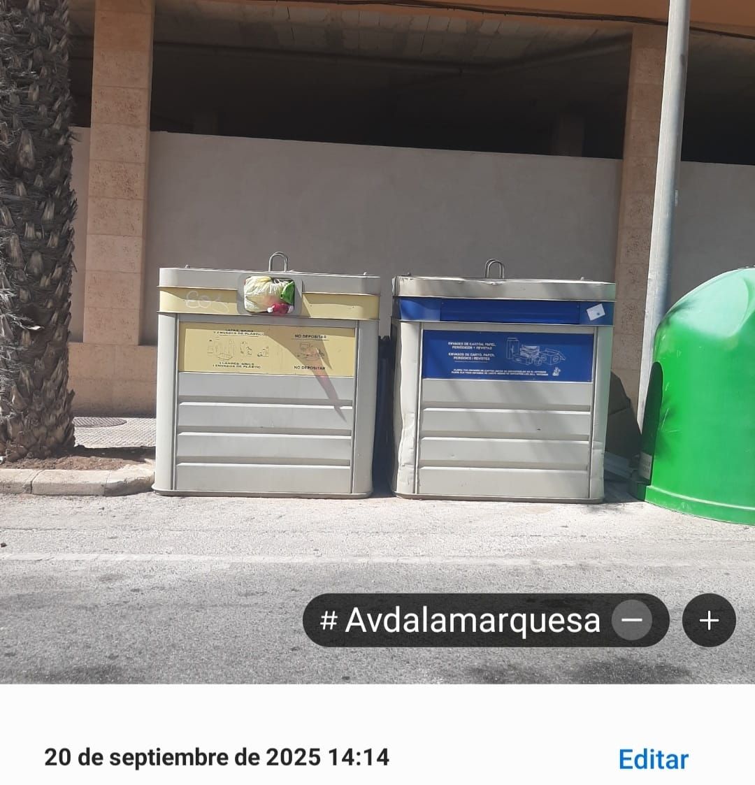 Imágenes captadas por los vecinos de contenedores desbordados