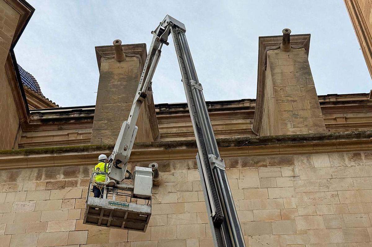La inspección realizada este jueves en la fachada norte de la basílica de Santa María.