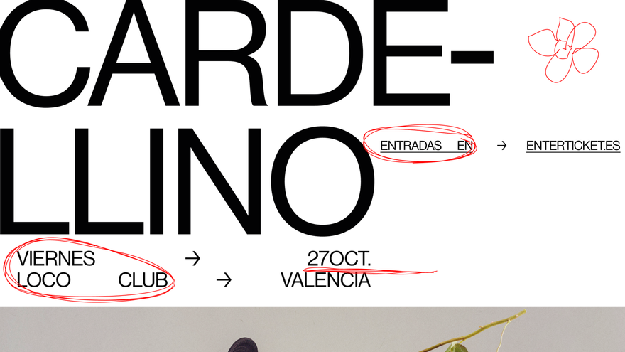Cardellino