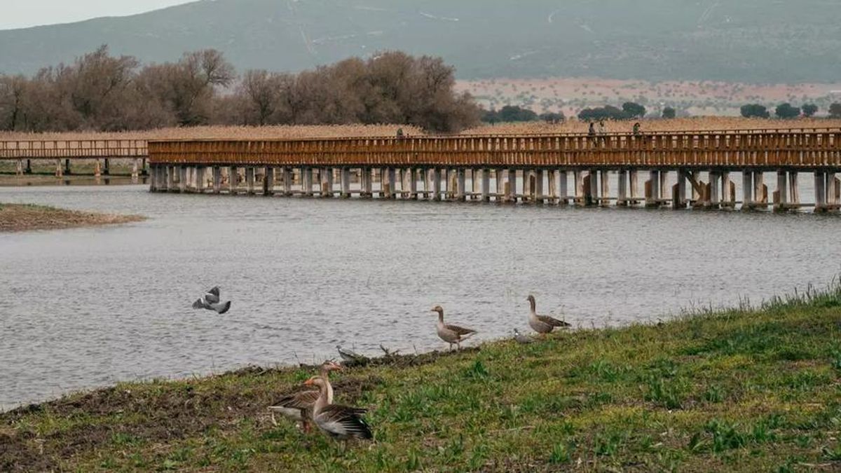 Vista de Las Tablas de Daimiel, hace justo un año, cuando su situación era preocupante