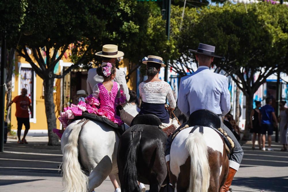 Primeros caballos en el Cortijo de Torres