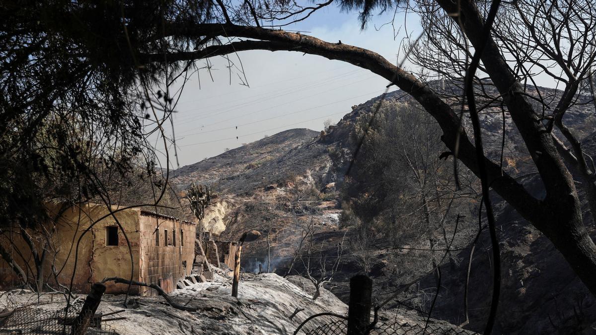 Incendios forestales mortales en Almería