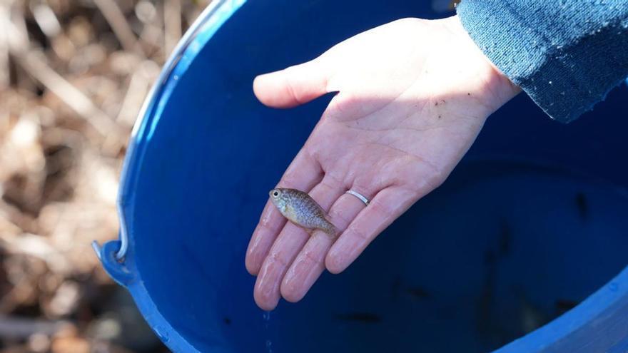 Girona obre la convocatòria d’ajuts per a projectes i activitats d’educació ambiental