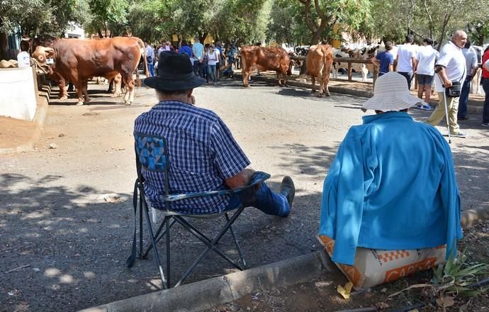 Feria de ganado, misa y procesión de San Miguel