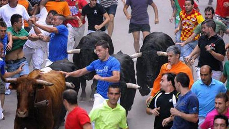 Les Penyes en Festes ya tienen completo el cartel taurino