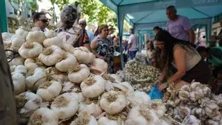 Animación y mucho movimiento en las primeras horas de la Feria del Ajo