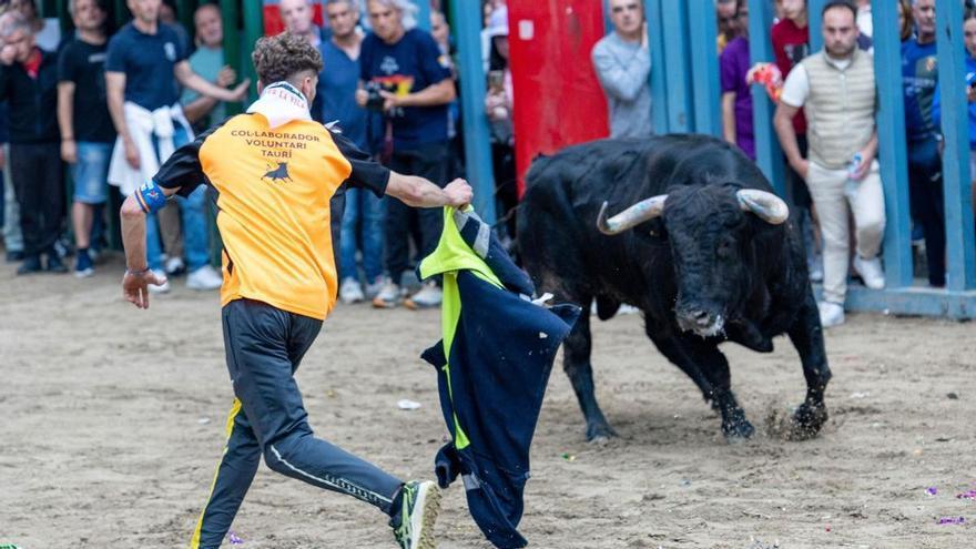 Un aficionado sigue en el hospital tras sufrir un traumatismo en la cabeza durante los actos taurinos de las fiestas de Vila-real