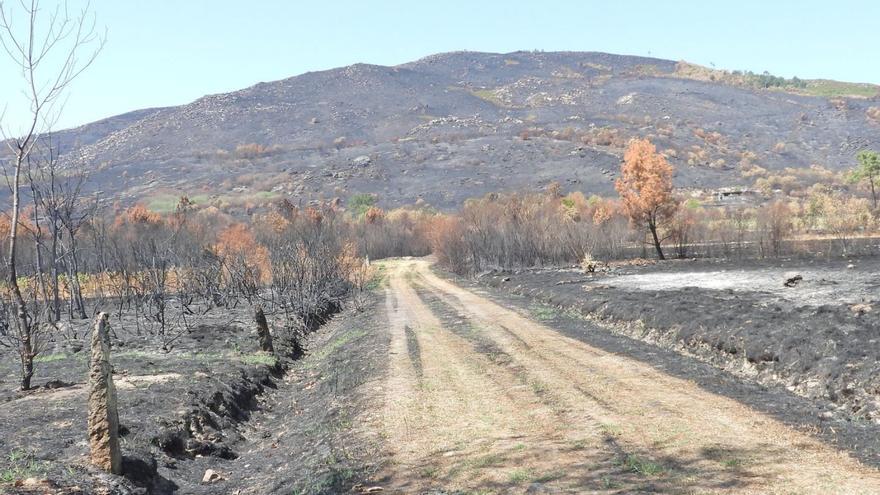 Terrenos quemados
 en Oímbra, donde se impulsa
 un polígono agroforestal.
 // Fernando Casanova