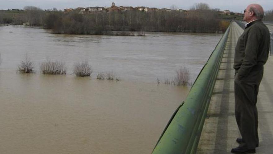 Un vecino de Bretocino observa el estado del río Esla ayer por la mañana.