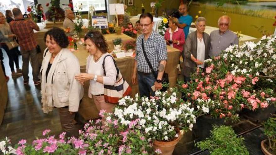 Sils L&#039;exposició de flors renova el seu format