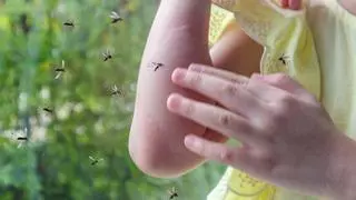 Són efectives les polseres repel·lents de mosquits? Quina és més recomanable utilitzar?