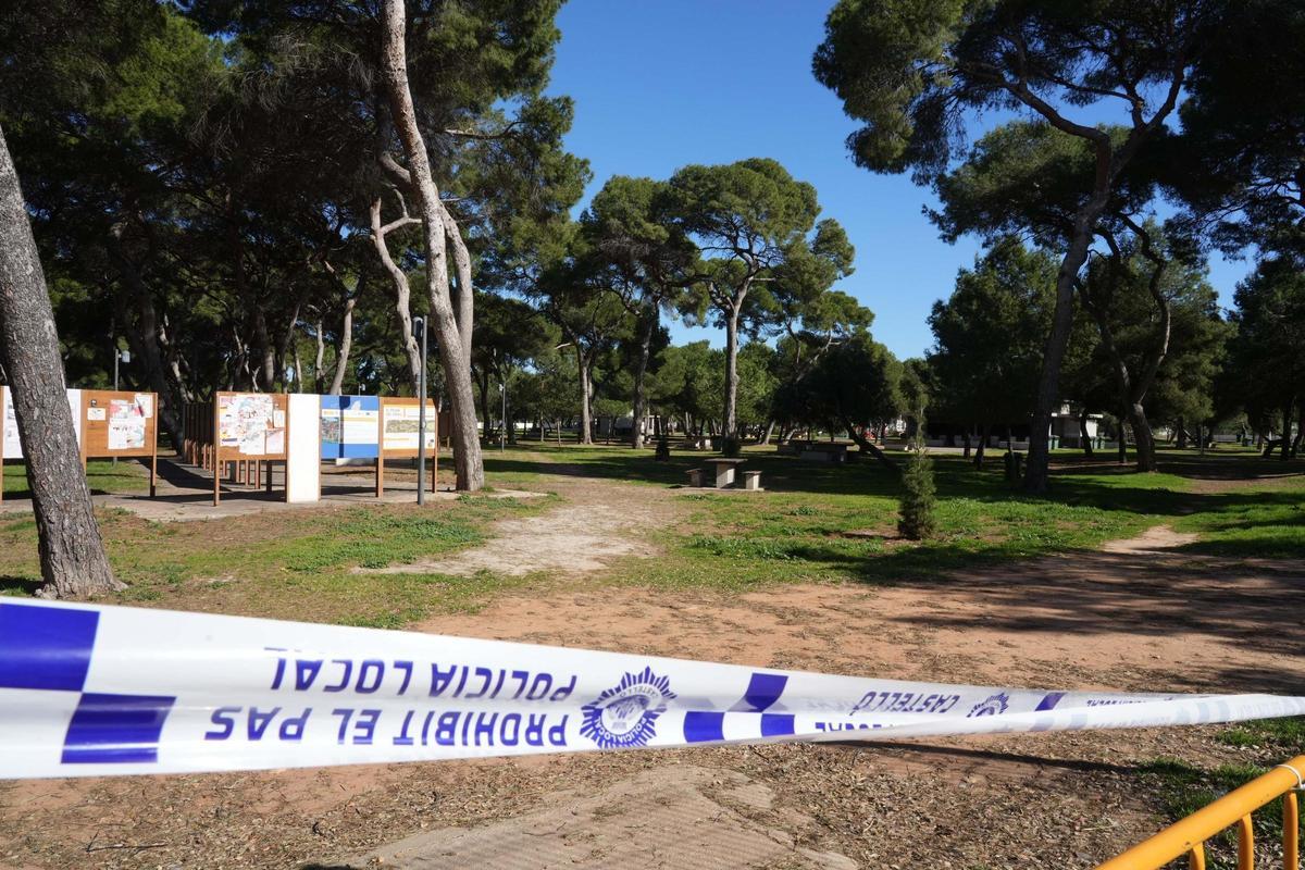 El Pinar del Grau de Castellón ha sido cerrado al público por el fuerte viento.