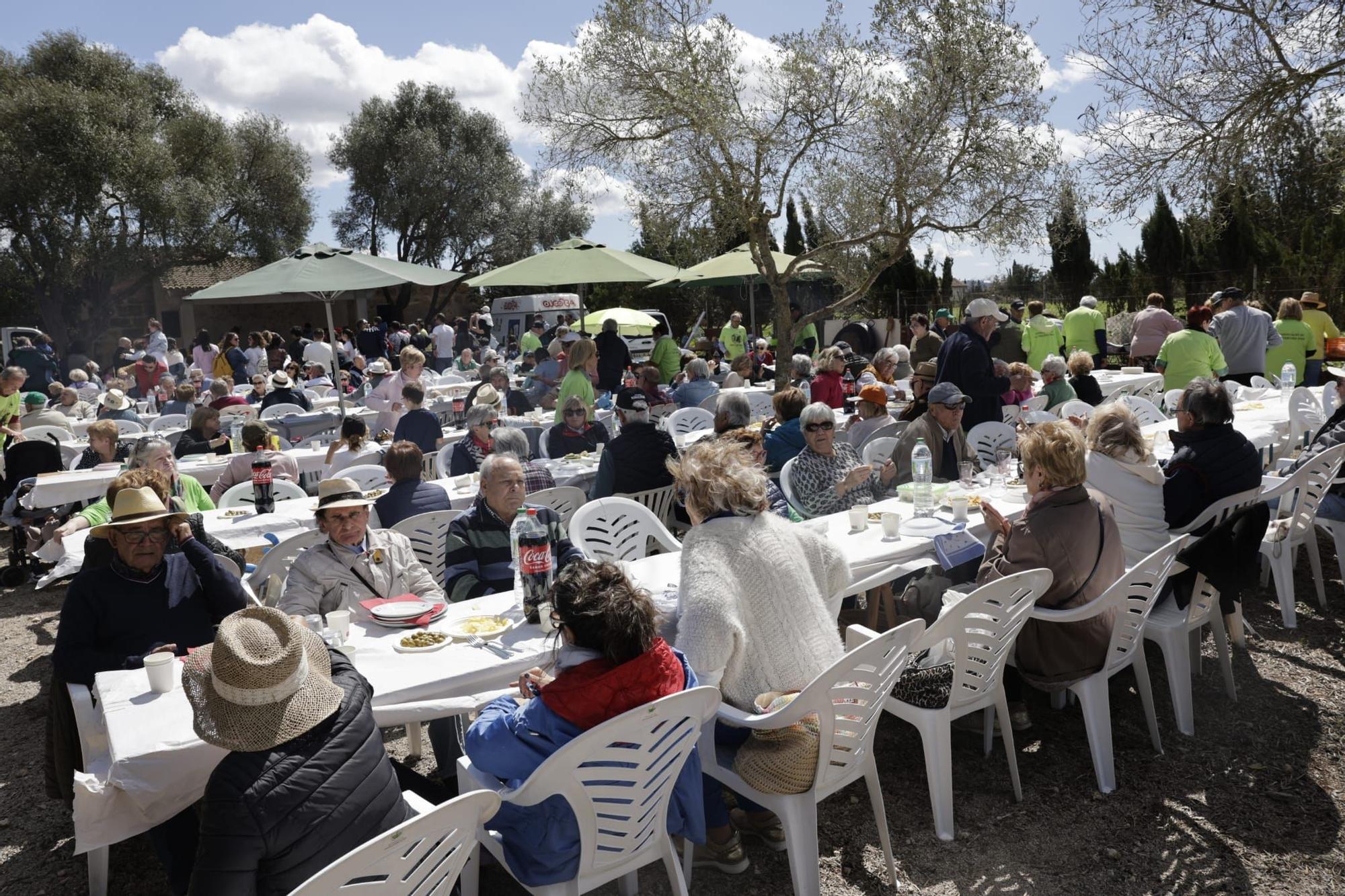 Lunes de Pascua | Los 'Pancaritats' en los pueblos de Mallorca, en imágenes