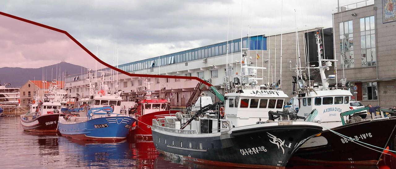 Flota amarrada en el Puerto de Vigo