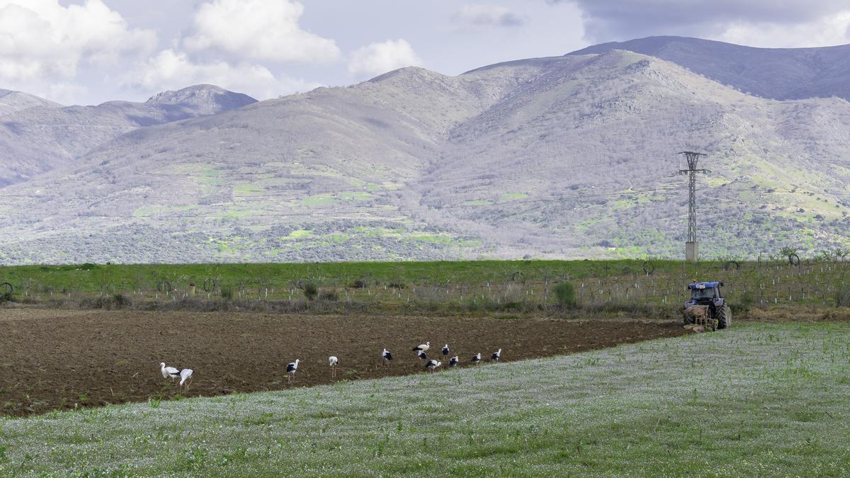 Alguna nube en los cielos del Ambroz este lunes