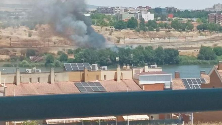 Detienen a un vecino de Mérida como presunto autor de un incendio de pastos en Reina Sofía