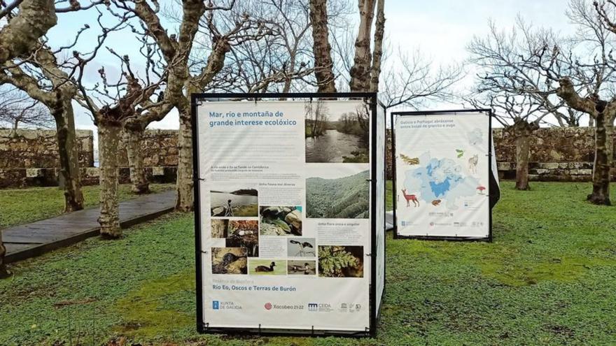 El Ceida se prepara para la exposición itinerante de las Reservas de Biosfera en el jardín del castillo de Santa Cruz