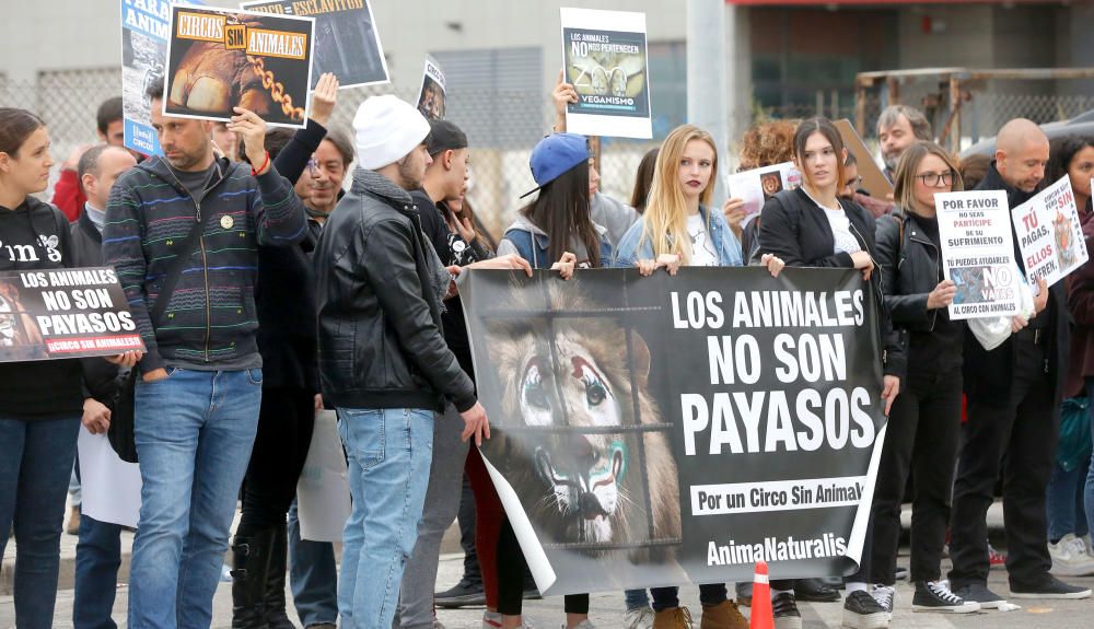 Protesta contra un circo con animales en Alfafar