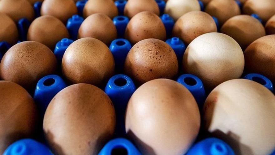 Intervienen 700 huevos que unos niños lanzaban a los autobuses urbanos en Granada