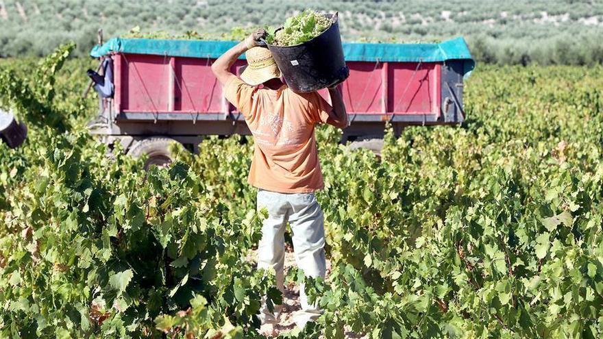 El sector defiende el cultivo de la vid