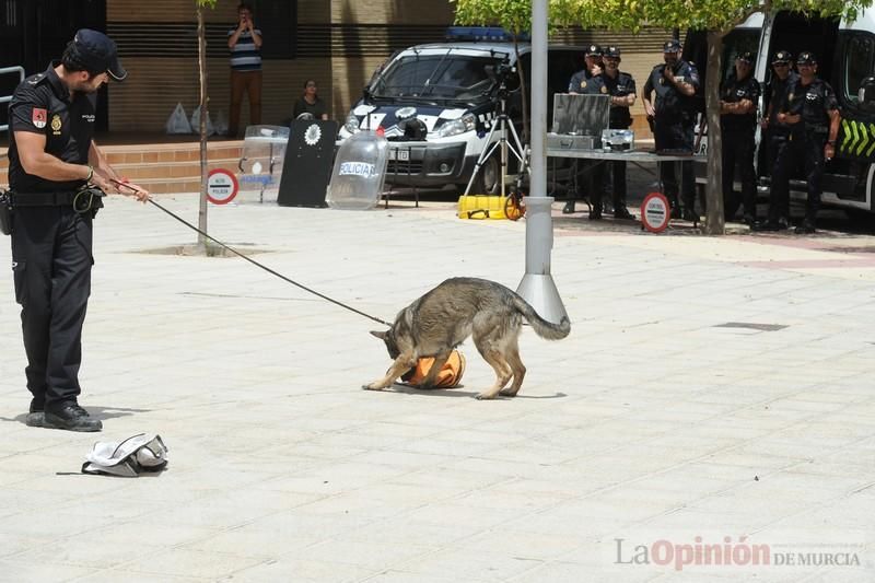 FREMM y ARESMUR celebran el XIII Día de la Seguridad Privada