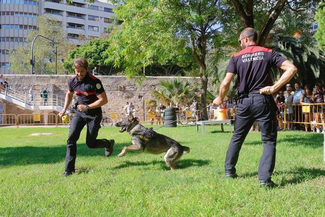 Así ha sido la Feria de los Animales en València