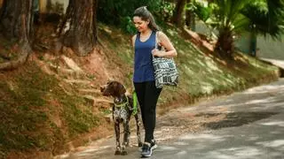 El paseo “perfecto” para un perro dura 67 minutos y debería incluir 16 paradas para olfatear, según un estudio veterinario