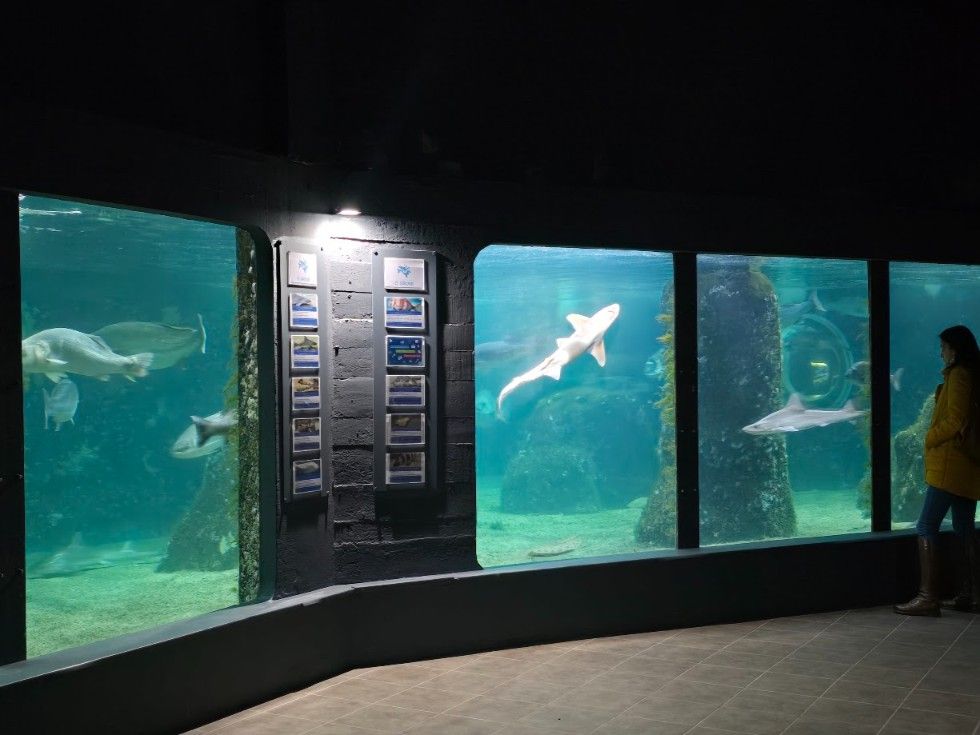 Las instalaciones del Acuario O Grove, en Punta Moreiras.