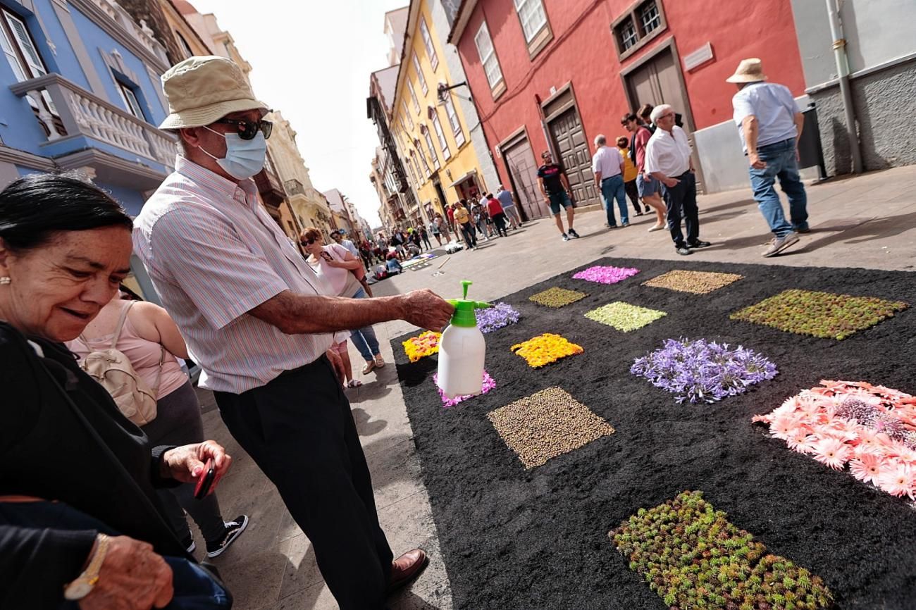 Alfombras del Corpus de La Laguna