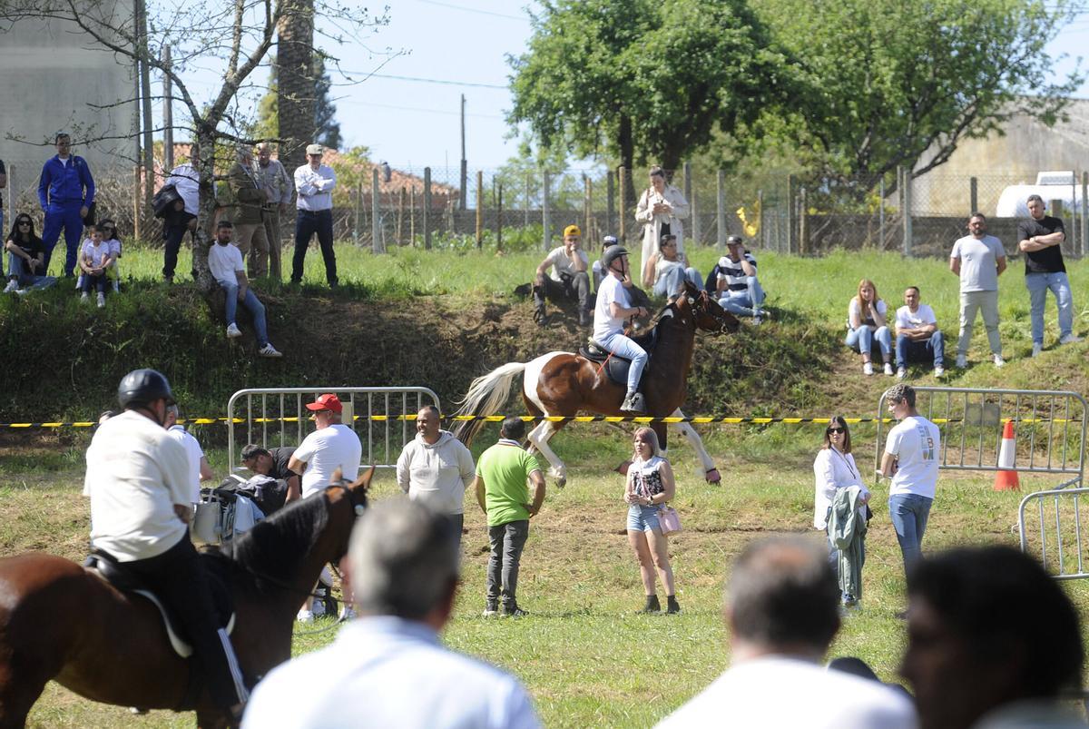 XXXVI Feira do Cabalo de Lalín, 2026