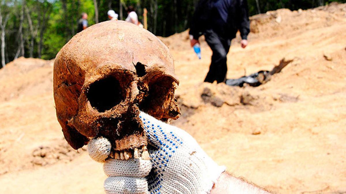 Un investigador sosté el crani d’un dissident rus assassinat durant el govern de Josef Stalin. Les restes de 300 persones més han estat descobertes durant les obres de reforma d’una carretera de Vladivostok.