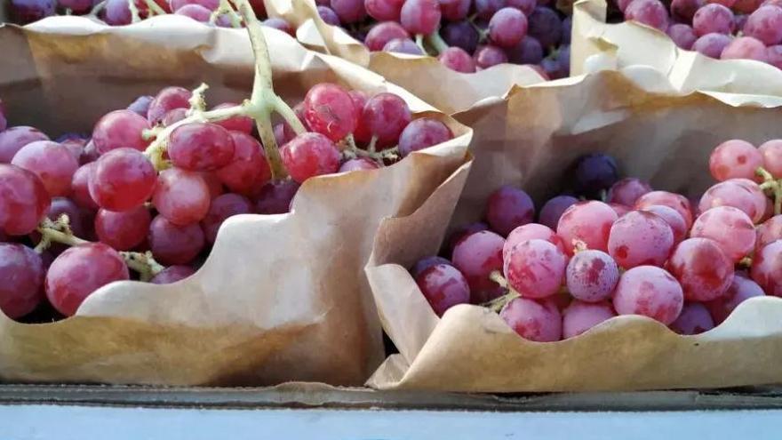 Llancen un «aparador» de cent aliments ecològics valencians certificats