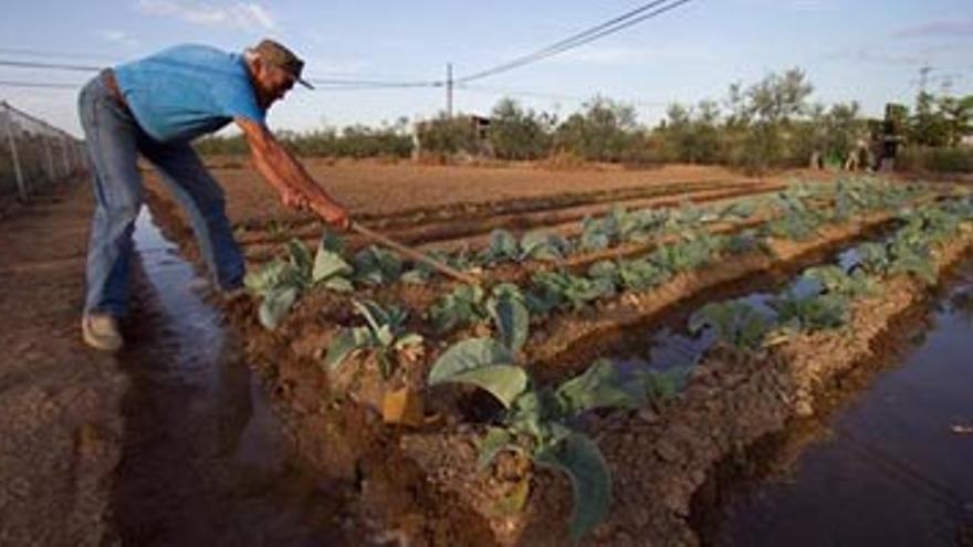 La nueva regulación de los huertos de los poblados recibe 420 alegaciones de vecinos