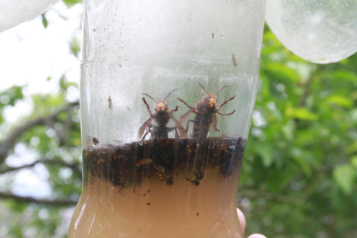 Alice delish leaked sex responsive to my ideas and offered