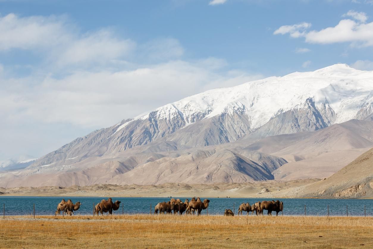 Las montañas nevadas se alzan sobre el Lago Karakul