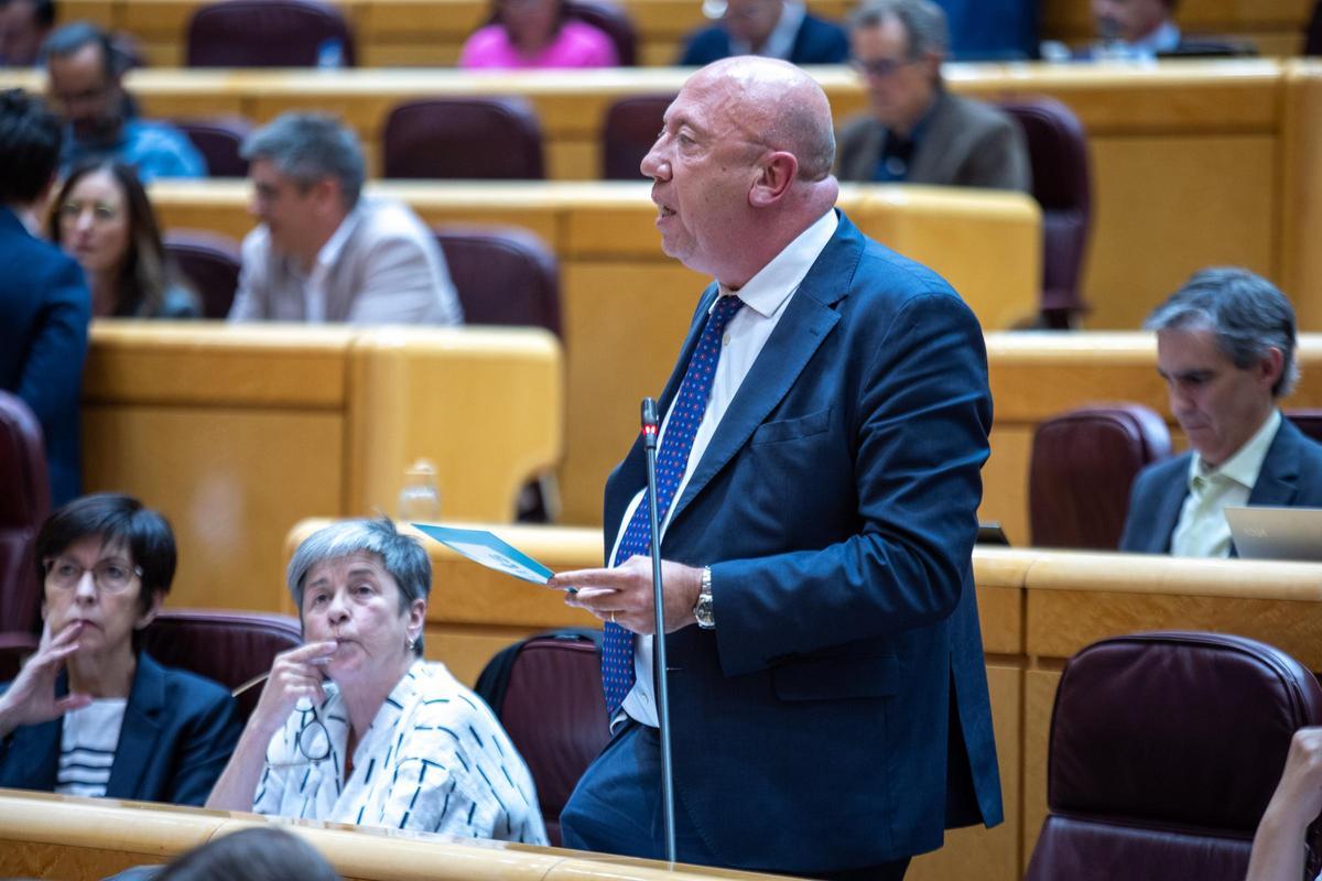 El senador gironí Joan Bagué, durant la seva intervenció.