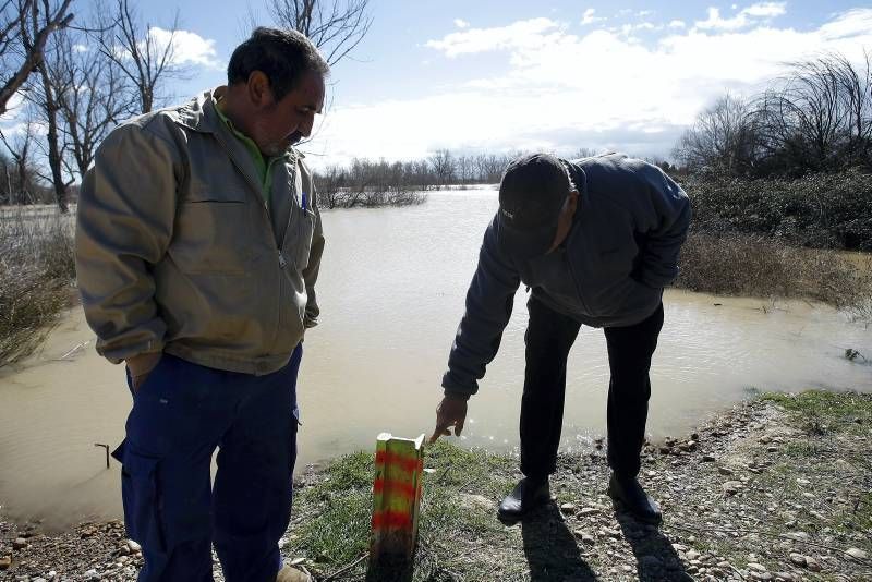 Fotogalería de la crecida del Ebro