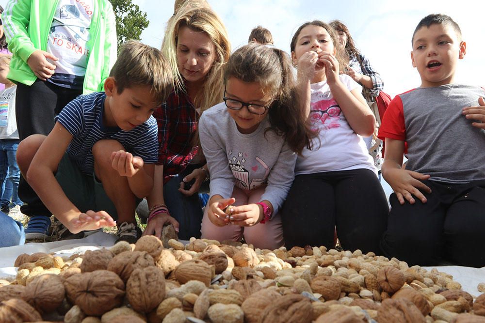 Alumnos de Can Cantó celebran una trencada en la Finca de Can Tomeu.