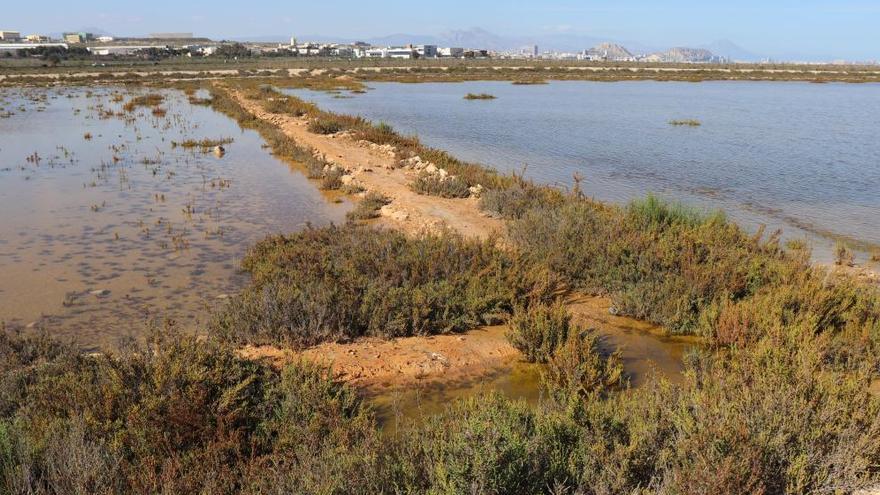 Amigos de los Humedales del Sur alerta de que la segunda pista del aeropuerto acabaría con Agua Amarga